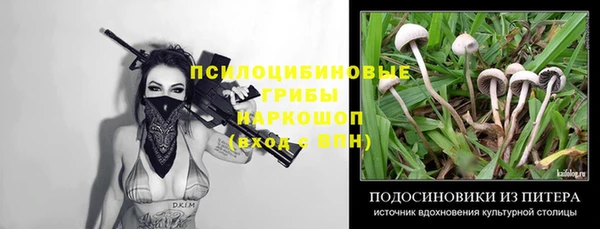 сатива Бронницы