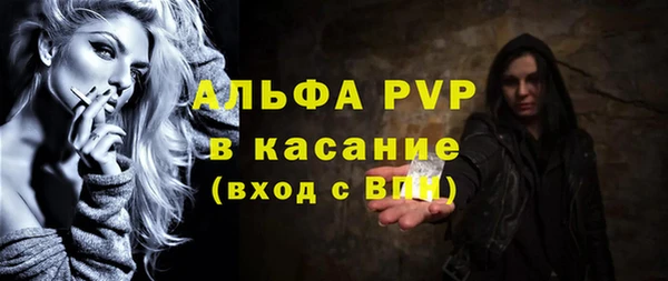 a pvp Бородино