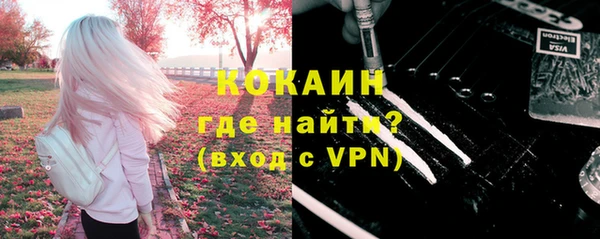 a pvp Бородино