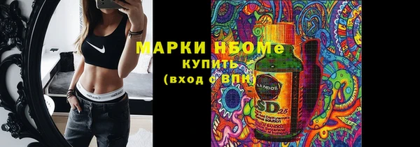 сатива Бронницы