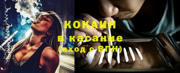 сатива Бронницы