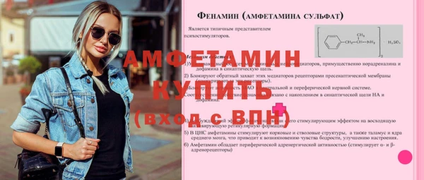 a pvp Бородино